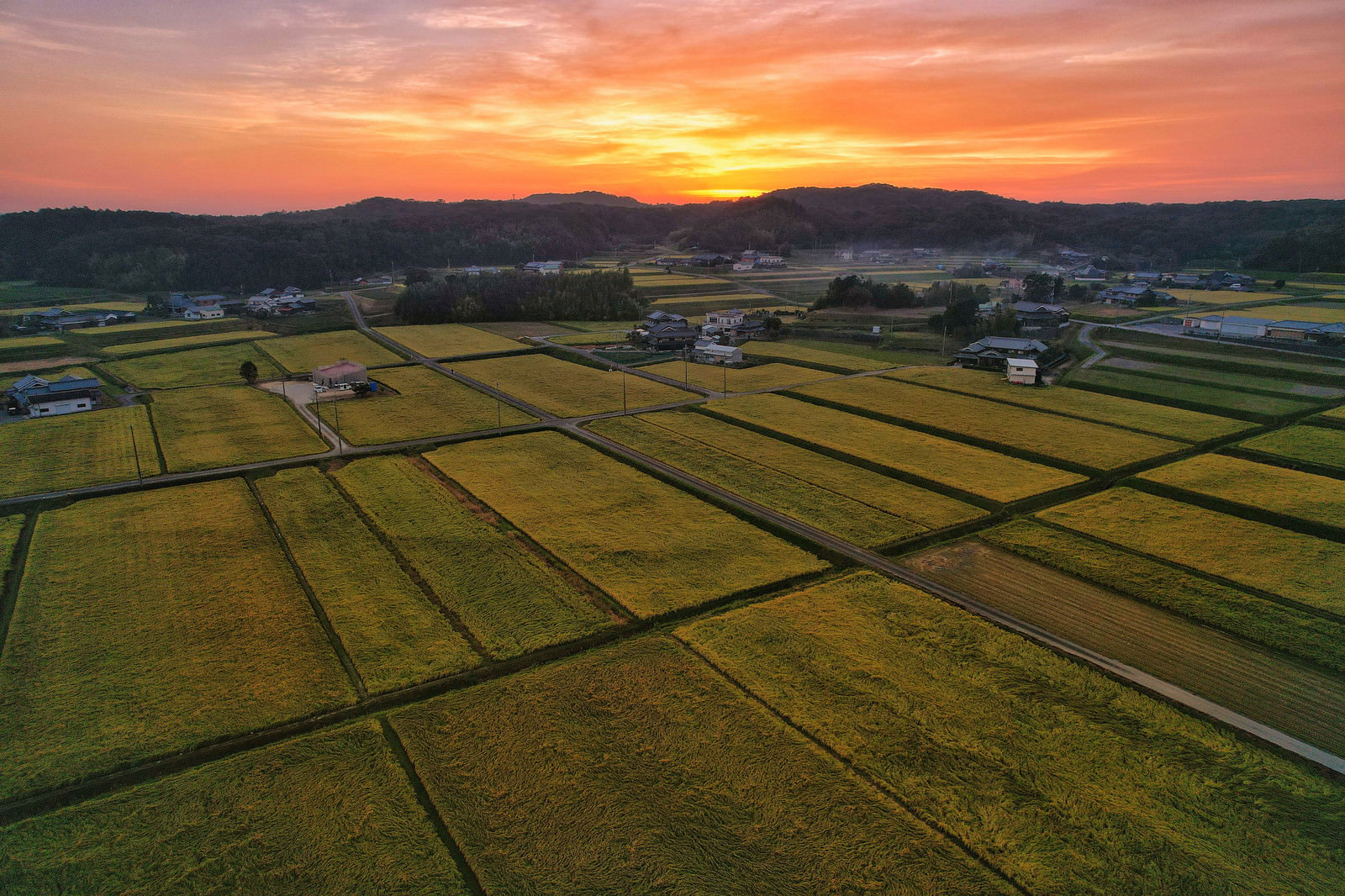 夕焼け空の下に広がる区画整理された田んぼの風景