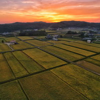 赤く燃えた夕焼けと広がる田園風景の写真