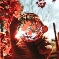 水晶球越しに映る鮮やかな秋の紅葉と光芒の写真