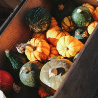 木箱に積み上げたオレンジ色と緑色のかぼちゃの写真