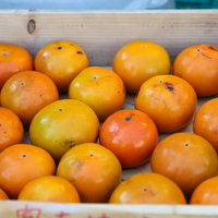 木箱に積み重なった秋の柿 - 新鮮な収穫の写真