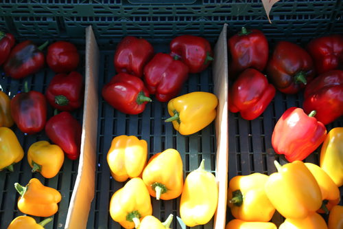 木箱に並べられた赤色と黄色のパプリカの新鮮な野菜