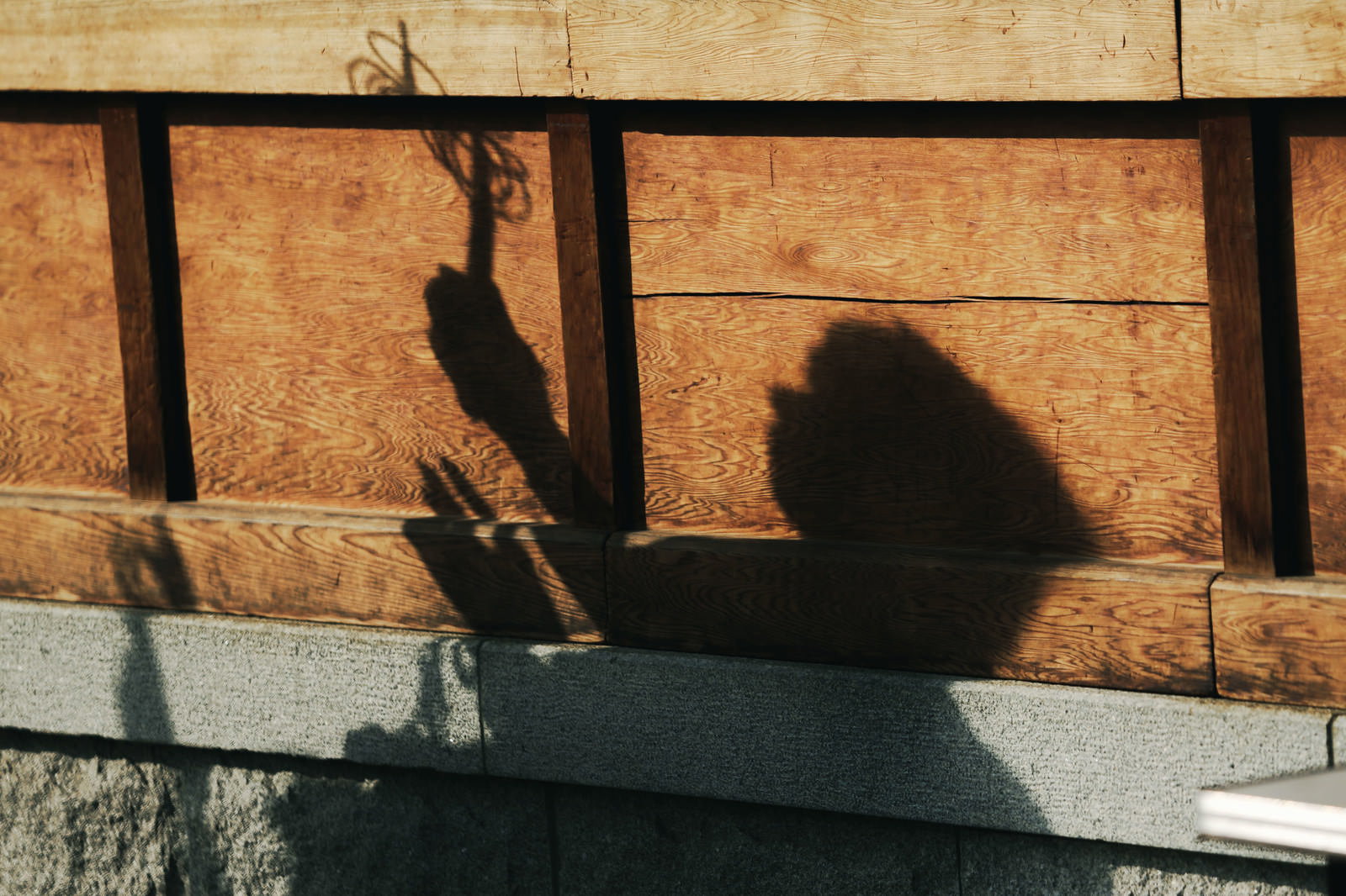 石壁に映る錫杖を持った僧侶の人影のシルエット