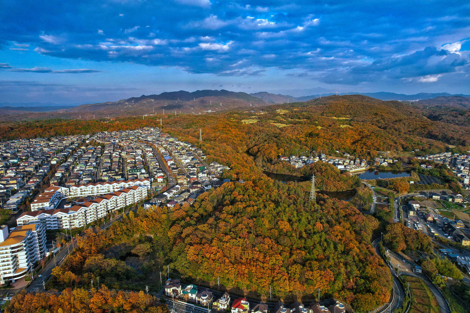 紅葉した森林と住宅地が隣接する秋の空撮風景