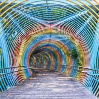 奥へ続く虹色のレインボートンネル 遊歩道の写真