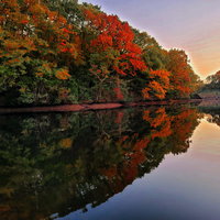 池の水鏡に映る紅葉と夕暮れ、秋の静寂に包まれた風景の写真