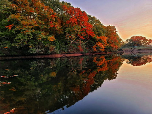 池の水鏡に映る紅葉と夕暮れ、秋の静寂に包まれた風景