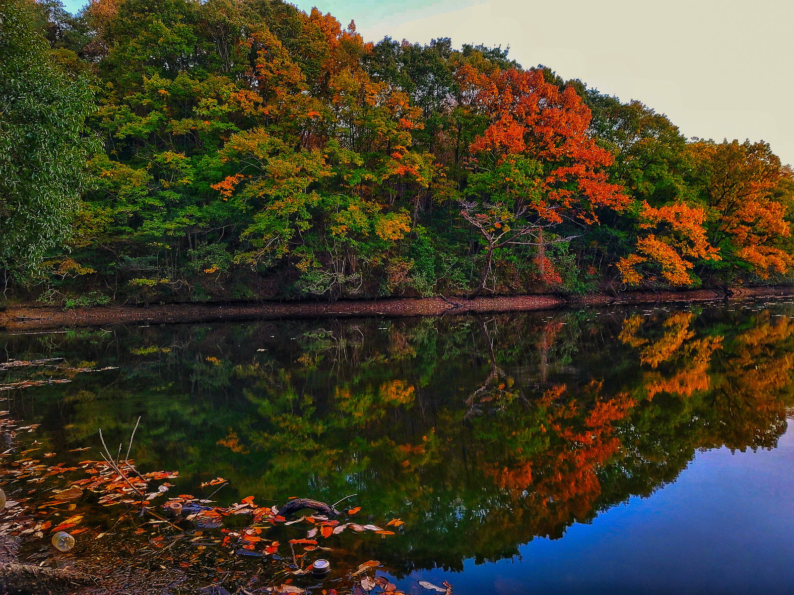 湖面に映る色とりどりの紅葉した木々のリフレクション