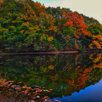 水面に映る夕焼け色に染まる紅葉した木々のリフレクションの写真