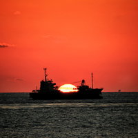 赤く染まった夕暮れの空と夕陽、水平線に浮かぶ貨物船の写真