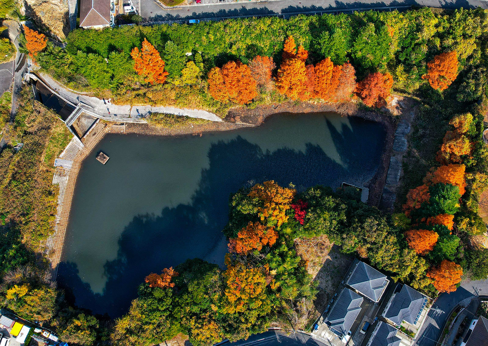 池を囲む紅葉した木々の俯瞰写真