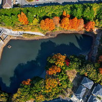 池の周りを取り囲む紅葉した木々の秋景色をドローン空撮の写真