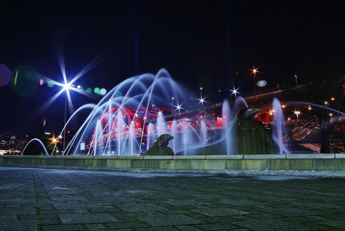 噴水の前から望む夜のライトアップ神戸大橋
