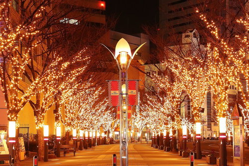 夜景に輝く電飾のイルミネーション並木道の街路樹