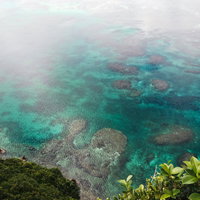 エメラルドグリーンに輝く海岸の岩場と緑の植物の写真
