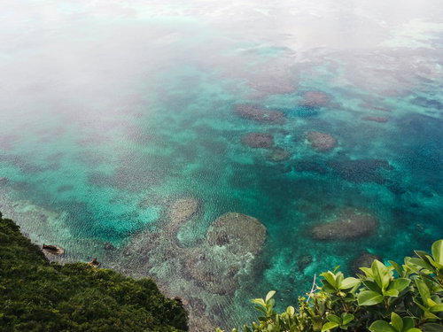 エメラルドグリーンに輝く海岸の岩場と緑の植物