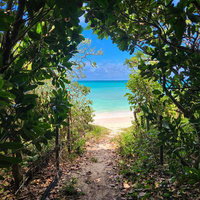 宮古島の秘密の浜辺へ続く緑の抜け道を歩くの写真