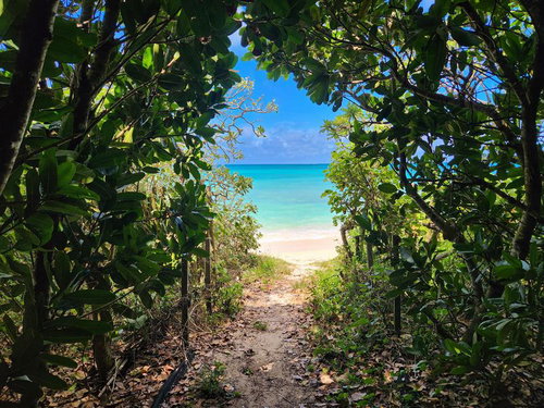 宮古島の秘密の浜辺へ続く緑の抜け道を歩く