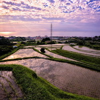 水を張った棚田に反射する夕暮れの空の写真