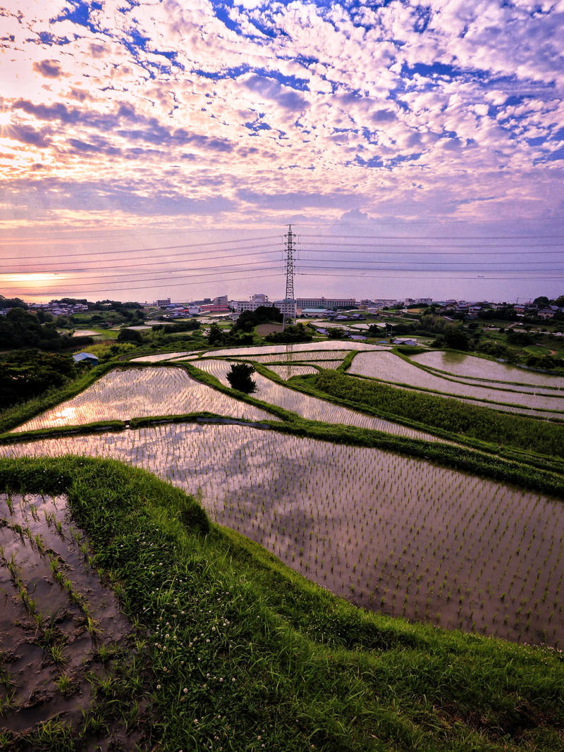 夕暮れの棚田に反射する空と海