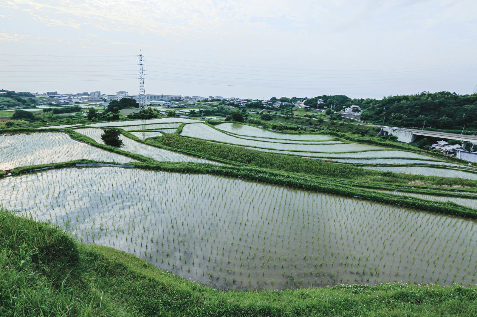 段々に連なる棚田の水田に青空が映り込む農村風景