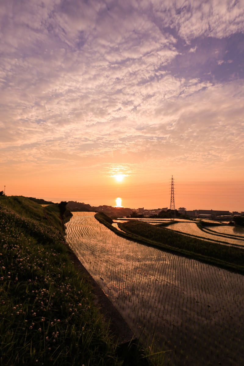 オレンジ色の夕焼け空の下、水面に夕日が映り込む棚田の風景