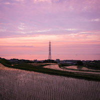 静寂に包まれる日没の棚田風景。夕焼け空に映える水田の風情の写真