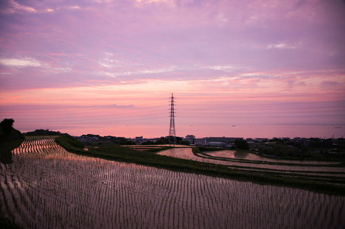 静寂に包まれる日没の棚田風景。夕焼け空に映える水田の風情
