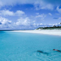 海に浮かぶ海水浴客と白砂のビーチ、南国の夏のリゾート風景の写真