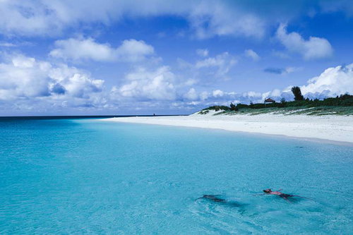 海に浮かぶ海水浴客と白砂のビーチ、南国の夏のリゾート風景