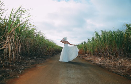 南国リゾートの道を歩くウェディングドレスの女性の後姿