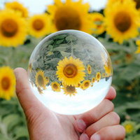 透明なガラス玉に映る夏の向日葵畑の一瞬を捉えた自然の写真