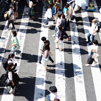 横断歩道を行き交う人混みと影の縞模様の写真