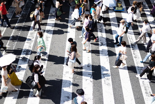 横断歩道を行き交う人混みと影の縞模様