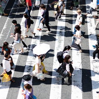 横断歩道を渡る人々の影と人混み、白い縞模様に映る歩行者のシルエットの写真