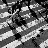 横断歩道に伸びる人影：モノクロ撮影の幾何学的パターンの写真