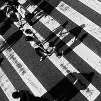 白い横断歩道に映るモノクロの家族の影と日常風景の写真