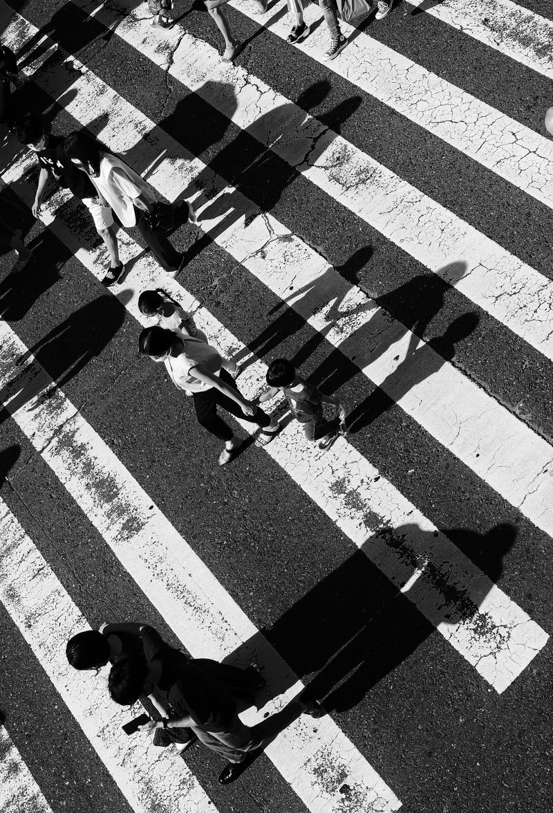 白い横断歩道の上に映る歩行中の家族の影をモノクロで撮影した写真