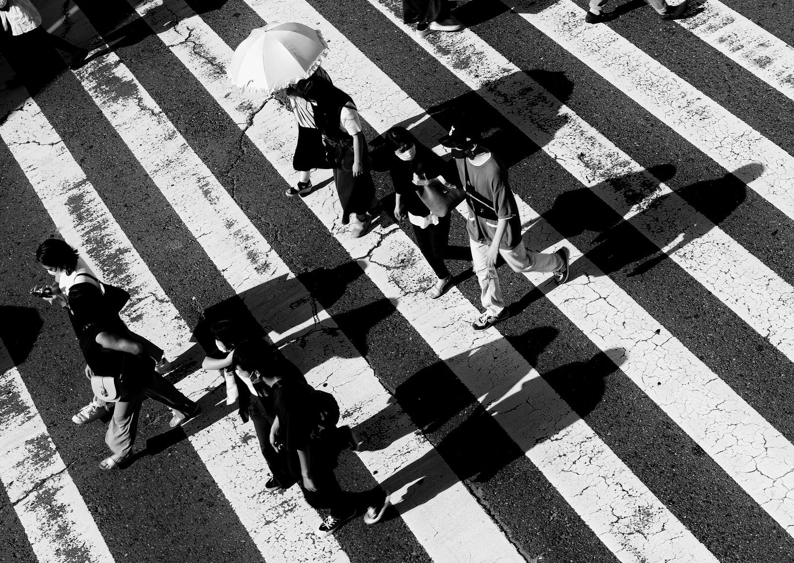 横断歩道の白い縞模様に歩行者の影が映るモノクロ写真