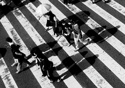 横断歩道の縞模様に映る歩行者の影と交通風景