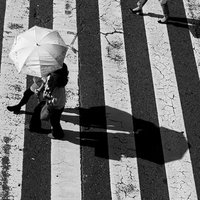 モノクロで撮影した横断歩道を渡る日傘を差したカップルの写真