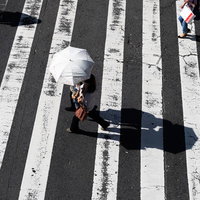 日傘をさして横断歩道を渡る人の俯瞰風景の写真