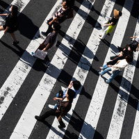 昼間の日差しが映る横断歩道の縞模様と複数の人影の写真