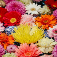 暗闇に浮かび上がる花柄ランタンの灯りと壁面の影の写真