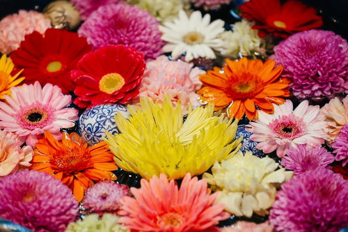 暗闇に浮かび上がる花柄ランタンの灯りと壁面の影