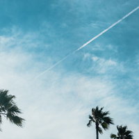 青空に伸びる飛行機雲とヤシの木のシルエットの写真