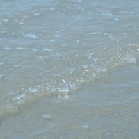 海岸に打ち寄せるさざ波と白い泡が流れる波打ち際の写真