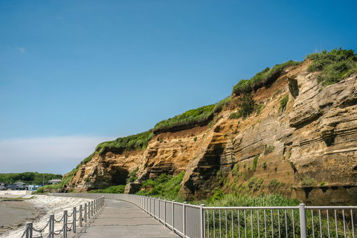 千葉県銚子市の屛風ヶ浦の海食崖と遊歩道の風景
