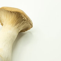 エリンギの傘のひだと白い柄をクローズアップの写真