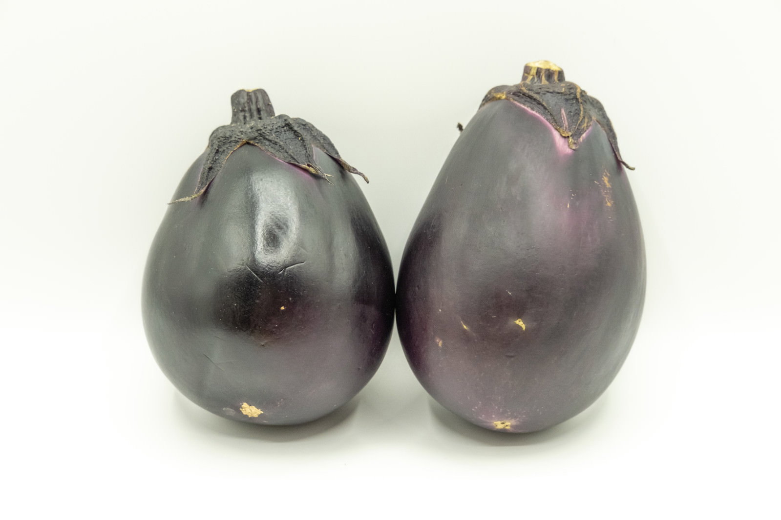 白背景に並べられた2個の紫色の丸茄子